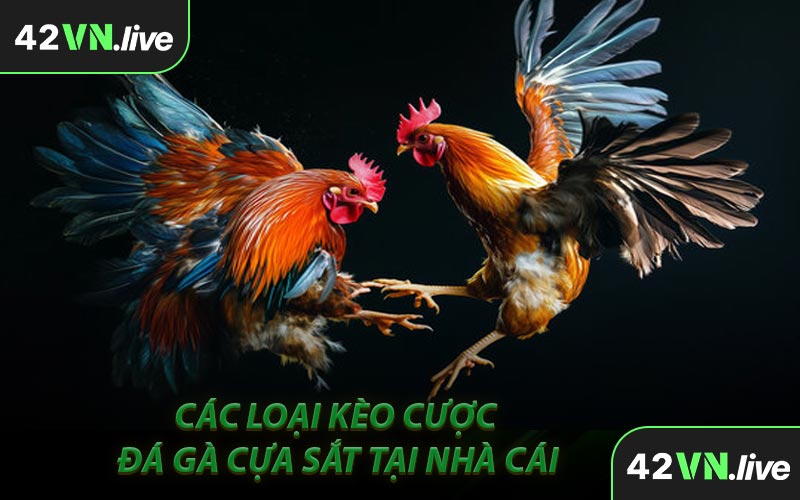Các Loại Kèo Cược Đá Gà Cựa Sắt Tại Nhà Cái