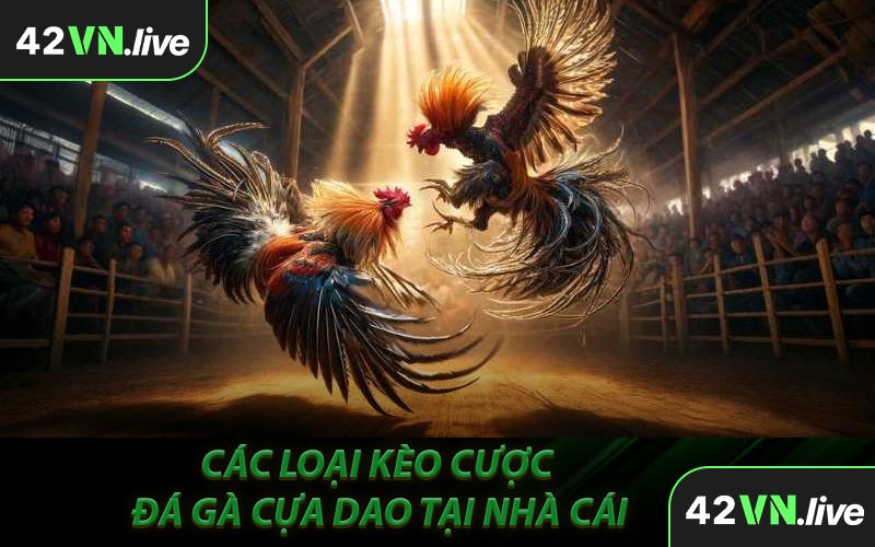 Các Loại Kèo Cược Đá Gà Cựa Dao Tại Nhà Cái