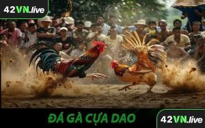 Đá Gà Cựa Dao