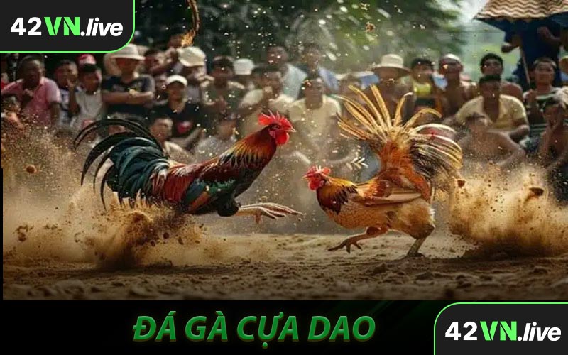 Đá Gà Cựa Dao