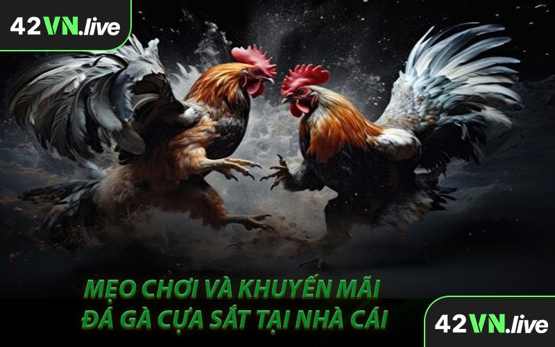 Mẹo Chơi Và Khuyến Mãi Đá Gà Cựa Sắt Tại Nhà Cái