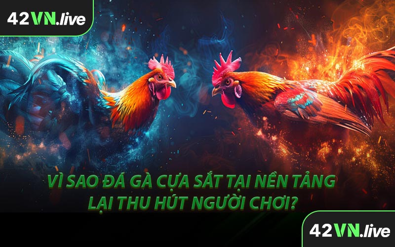 Vì Sao Đá Gà Cựa Sắt Tại Nền Tảng Lại Thu Hút Người Chơi?